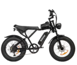 Bicicleta Elétrica Ridstar Q20 1500w 48v 20ah 55kmh Travões Hidráulicos Dianteiros E Traseiros